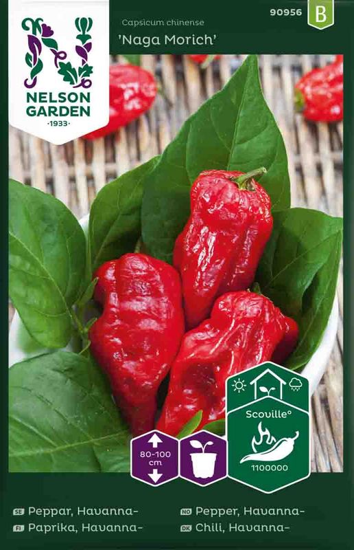 Chilipepper, Havanna-  'Naga Morich'
