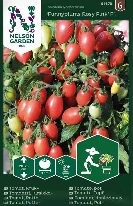 Hovedbilde Cherrytomat 'Funnyplums Rosy Pink' F1