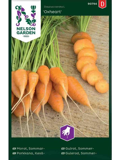 Hovedbilde Sommergulrot  'Oxheart'