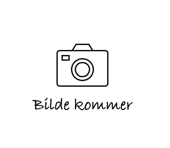 Hovedbilde Kjempekattfot