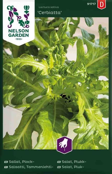 Hovedbilde Bladsalat 'Cerbiatta'
