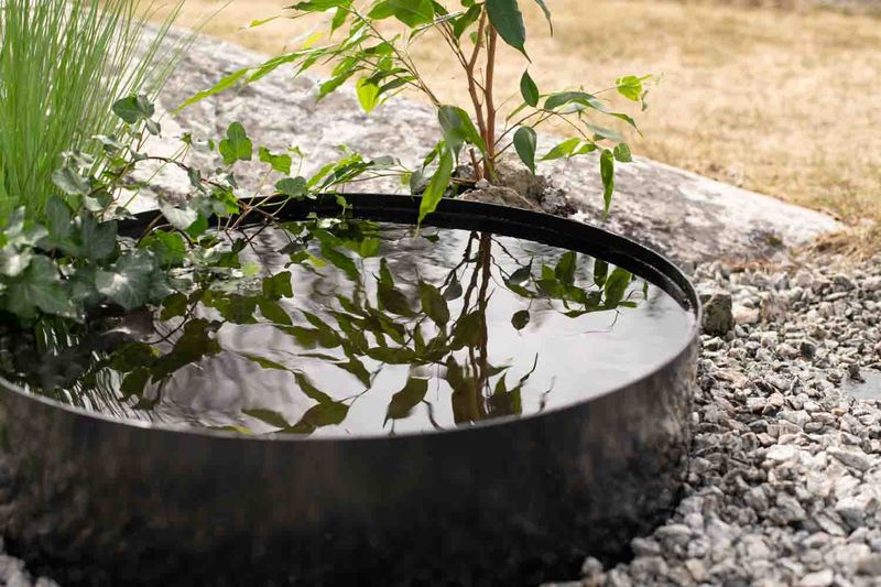 Vannspeil sort metall