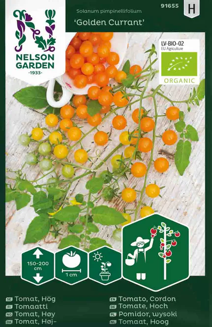 Hovedbilde Druetomat 'Golden Currant', økologisk
