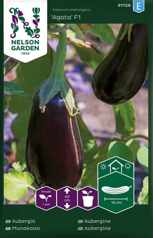 Aubergine, 'Agata' F1