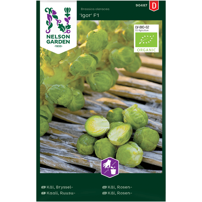 Hovedbilde Rosenkål 'Igor' F1, økologisk