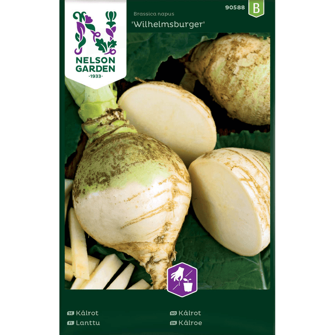 Hovedbilde Kålrot 'Wilhemsburger'