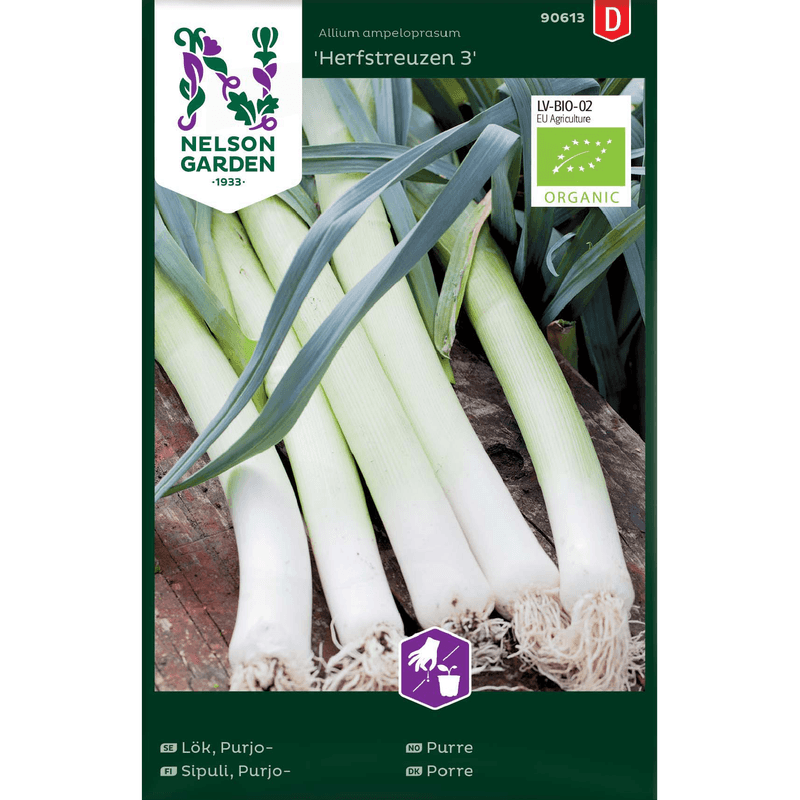 Purreløk 'Herbstriesen 2' økologisk 