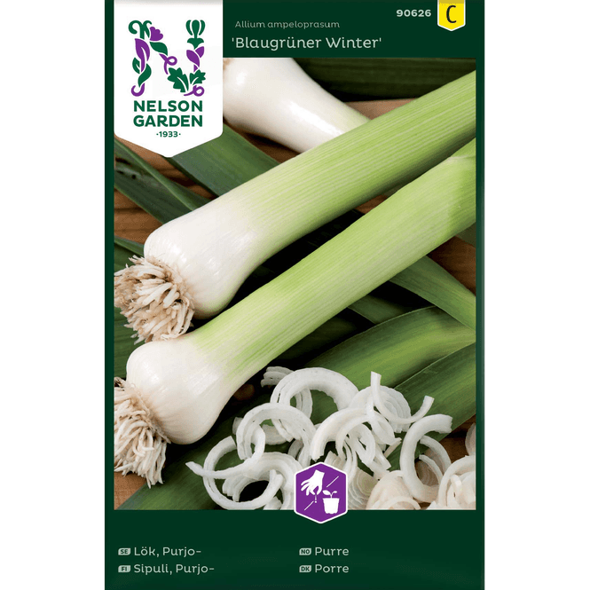 Hovedbilde Purreløk 'Blaugrüner Winter' vinter