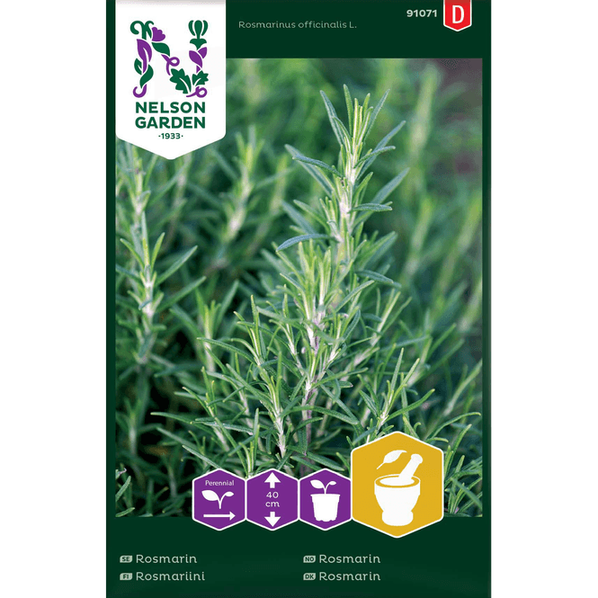 Hovedbilde Rosmarin