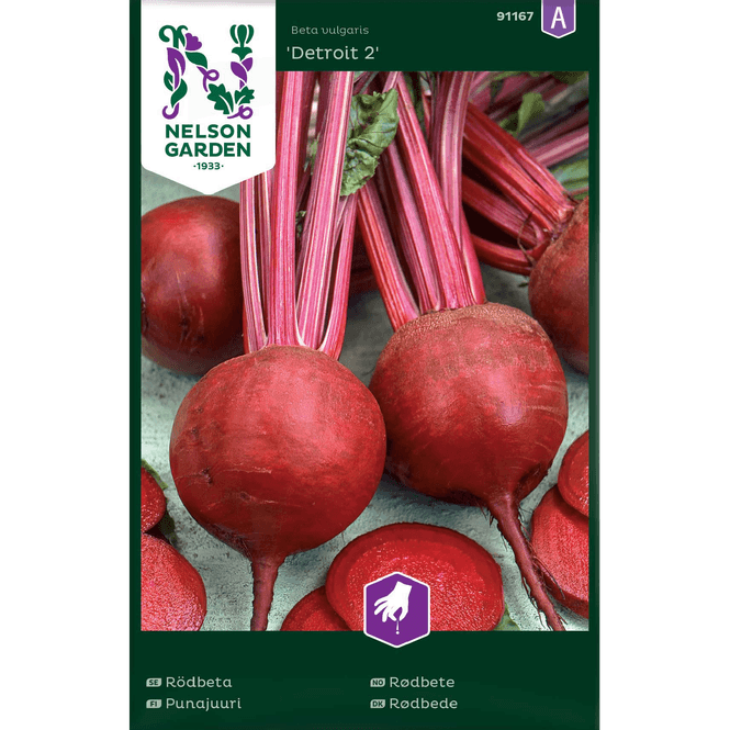 Hovedbilde Rødbete 'Detroit 2'