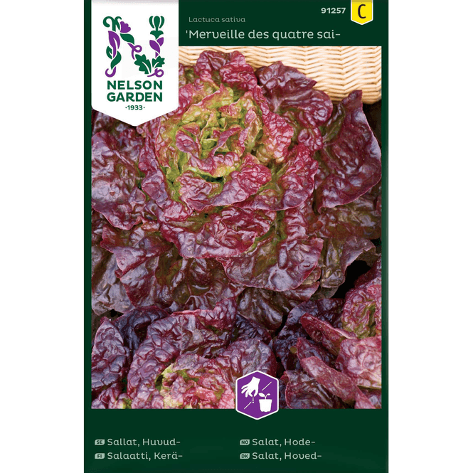Hovedbilde Hodesalat 'Merveille des quatre saiso'