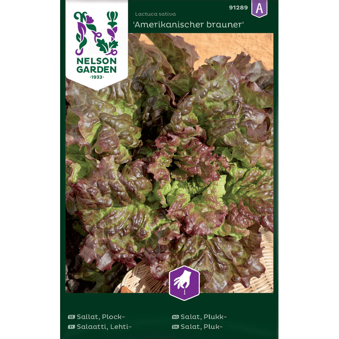 Hovedbilde Plukksalat 'Amerikanischer brauner'