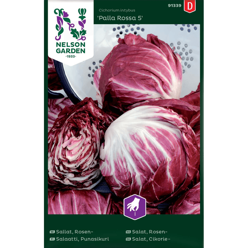 Rosensalat  'Palla Rossa 5'