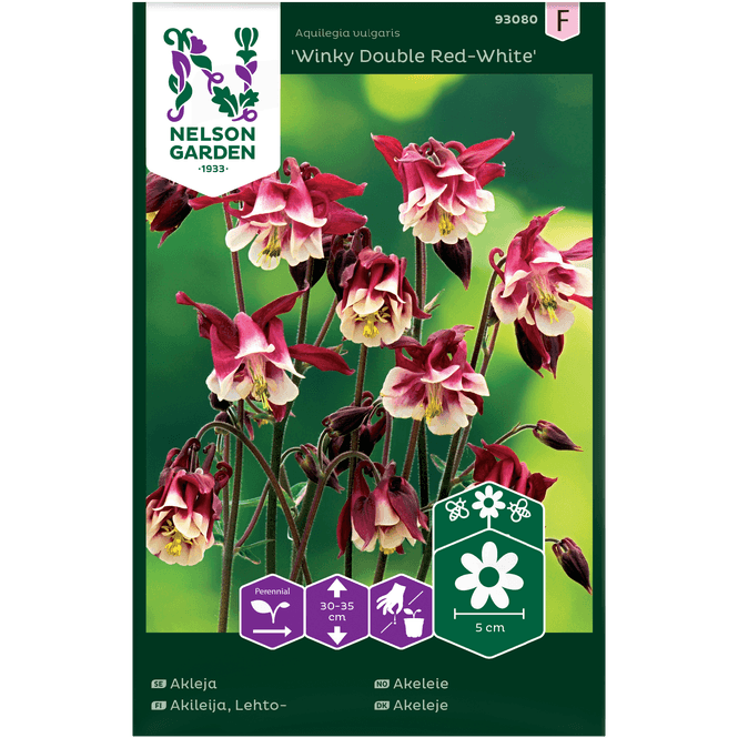 Hovedbilde Akeleie 'Winky Double Red-White'