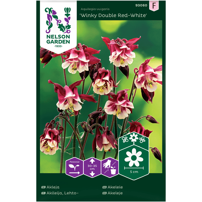 Akeleie 'Winky Double Red-White'