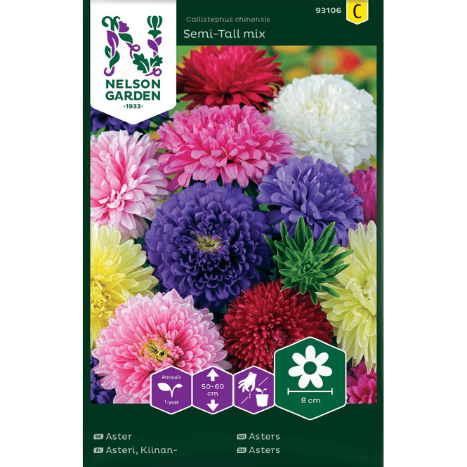 Hovedbilde Asters, 'semi-tall' mix 