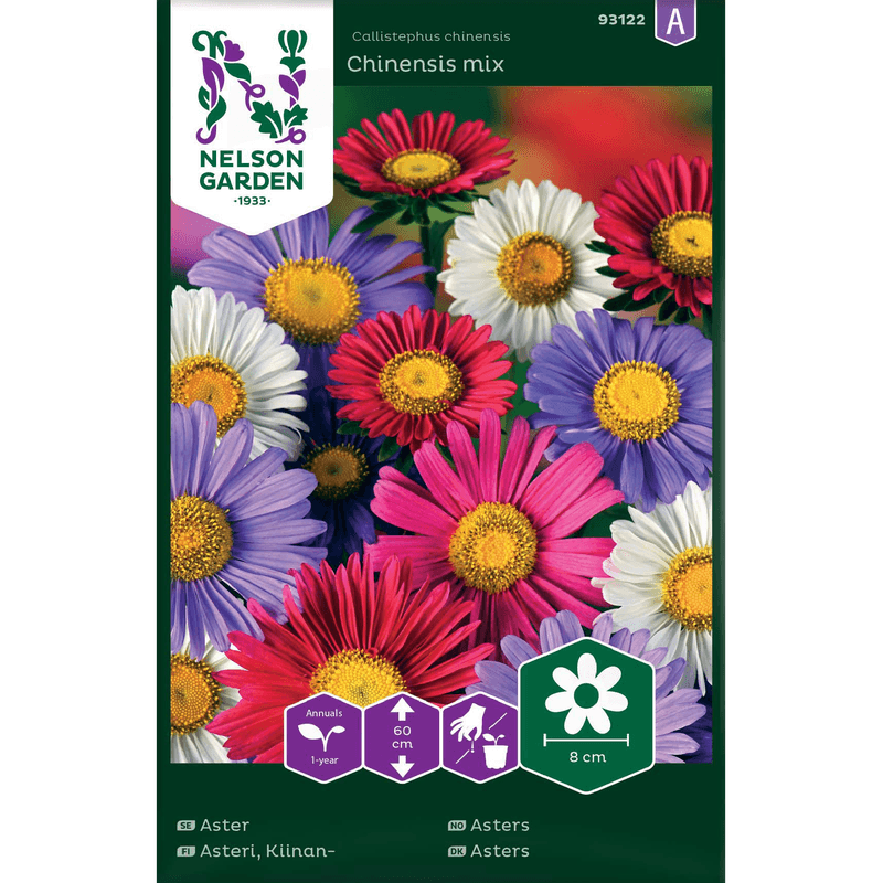 Asters 'chinensis mix'