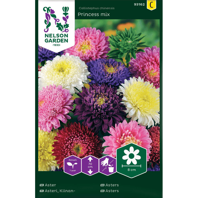 Hovedbilde Asters 'Princess' blandede farger