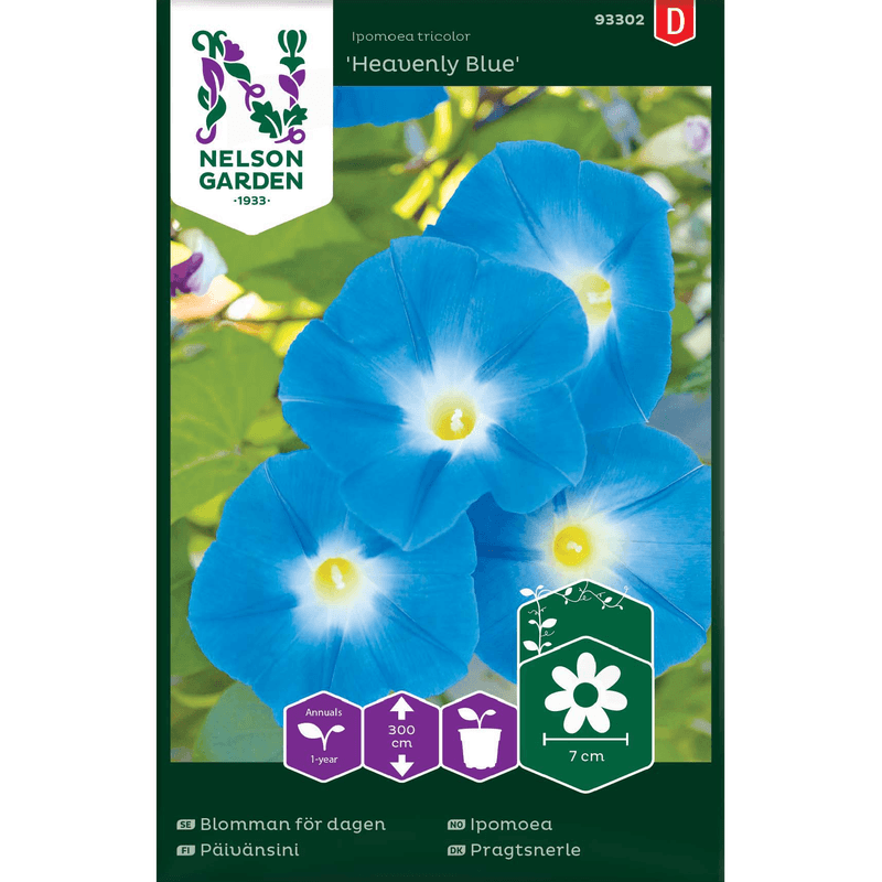 Praktvindel 'Heavenly Blue'