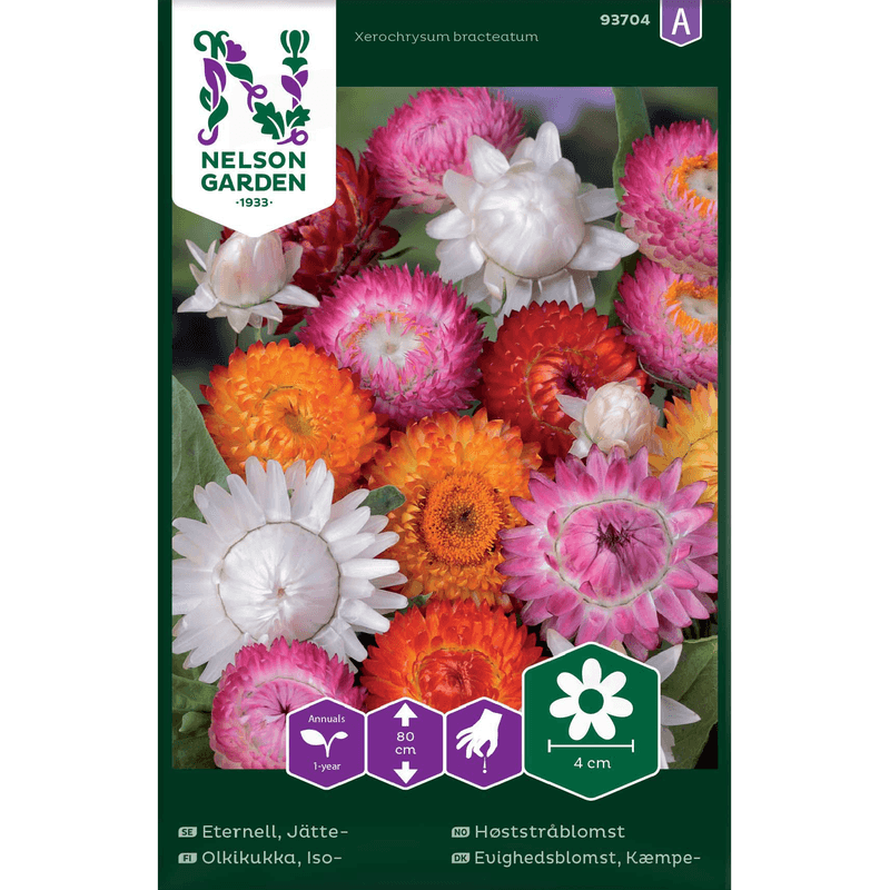 Høststråblomst høy, blanding