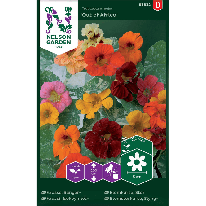 Hovedbilde Blomkarse Stor, 'Out of Africa'