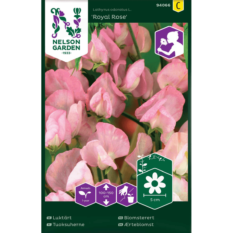 Blomsterert 'Royal Rose' rosa