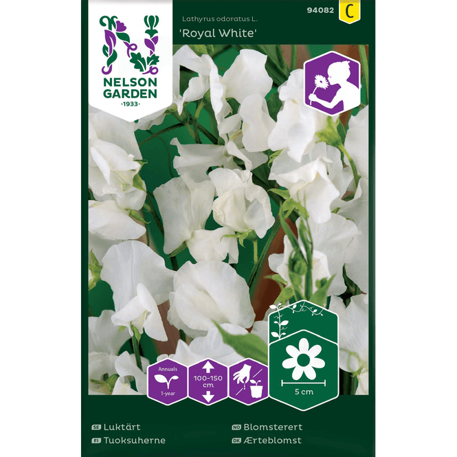 Hovedbilde Blomsterert 'Royal White' hvit