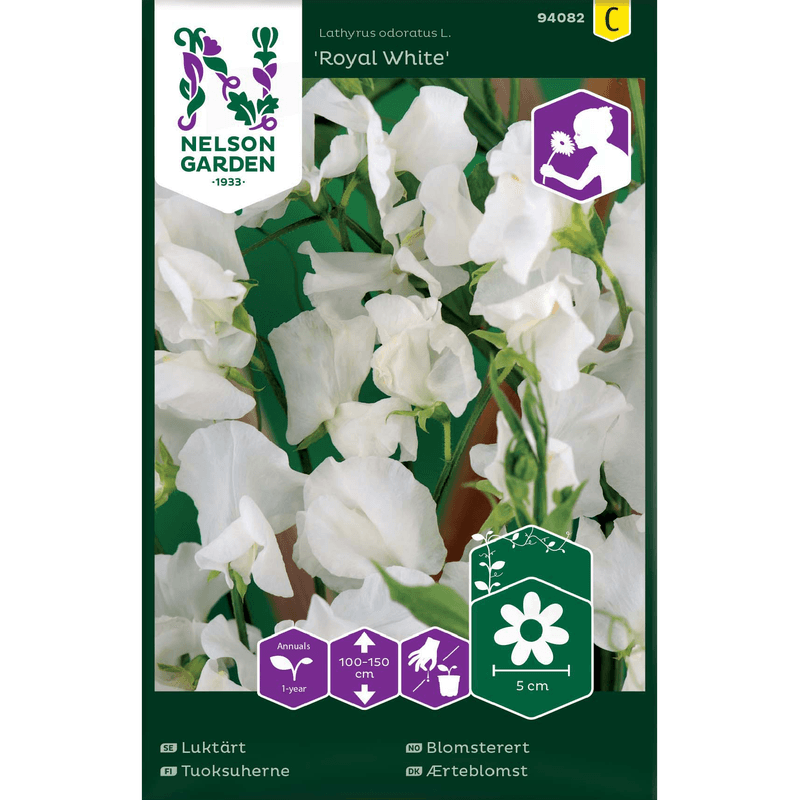 Blomsterert 'Royal White' hvit