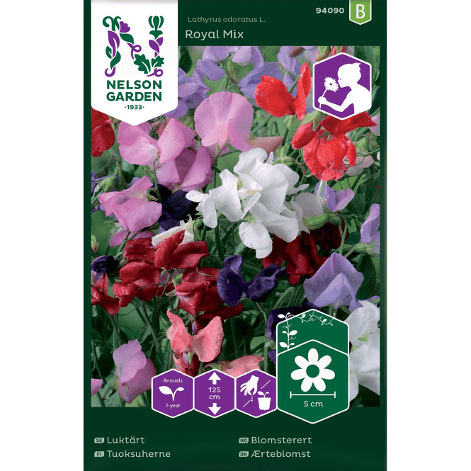 Hovedbilde Blomsterert 'Royal' blandede farger