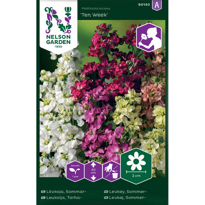 Hovedbilde Sommerlevkøy 'Ten Week' blandende farger