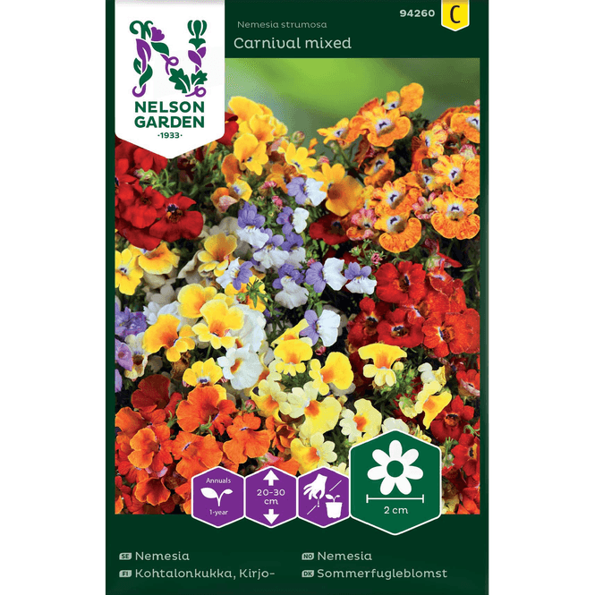 Hovedbilde Nemesia 'Carnival' blandede farger