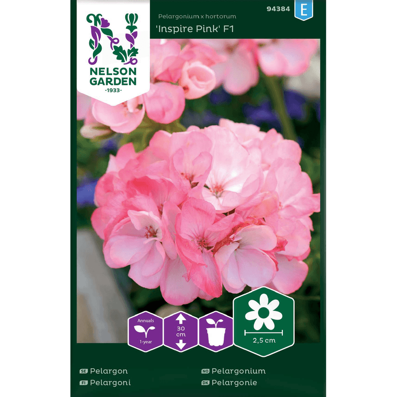 Pelargonium 'Inspire Pink' F1 rosa