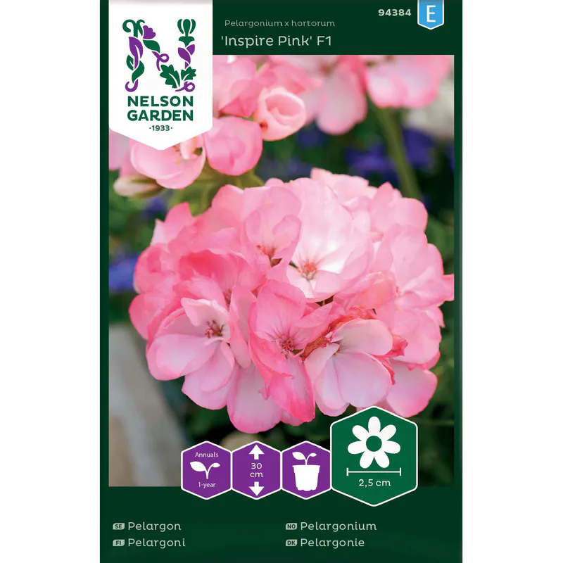 Pelargonium 'Inspire Pink' F1 rosa