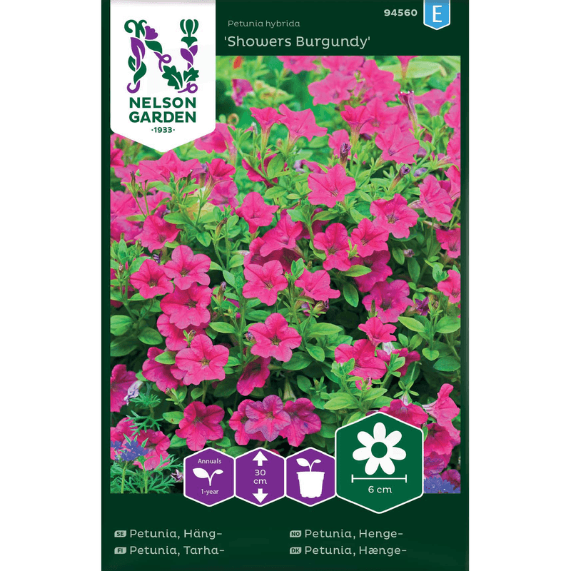 Hengepetunia 'Showers Burgundy'