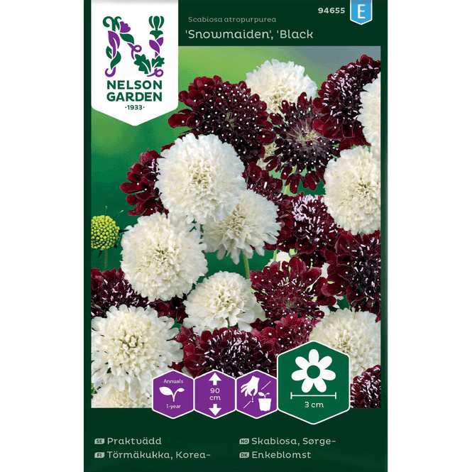 Hovedbilde Sørgeskabiosa 'Black Knight' og Snowmaiden'