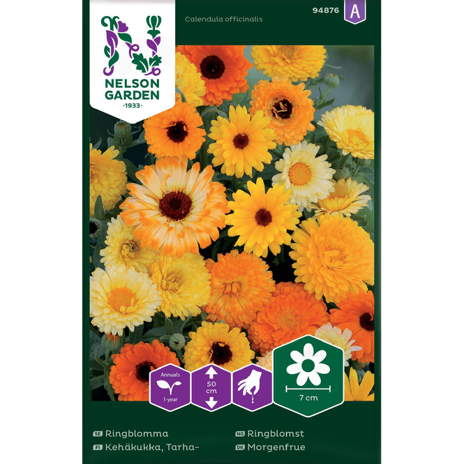 Hovedbilde Ringblomst blandede farger