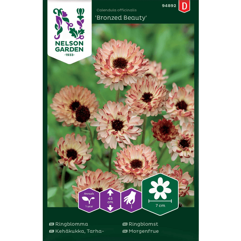 Ringblomst 'Bronzed Beauty'