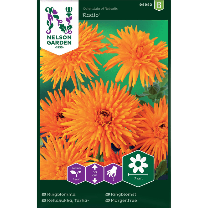 Hovedbilde Ringblomst 'Radio'