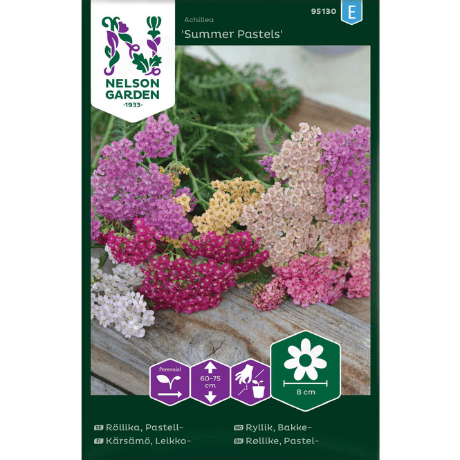 Hovedbilde Bakkeryllik  'Summer Pastels'