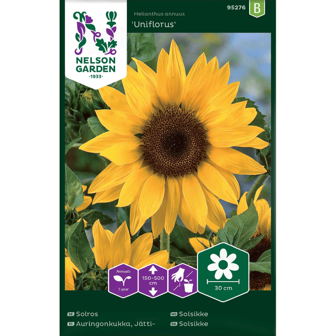 Hovedbilde Kjempesolsikke 'Uniflorus'  gul