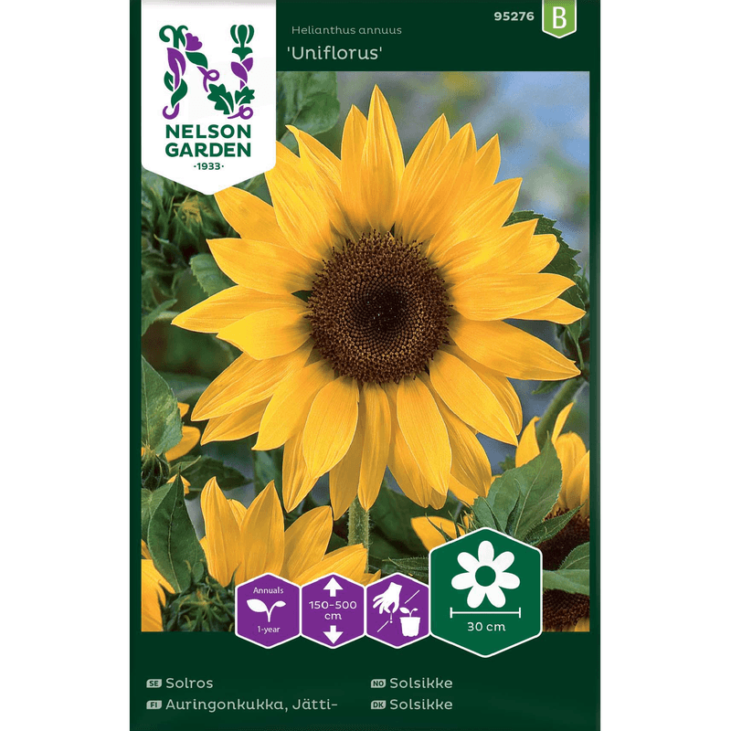 Kjempesolsikke 'Uniflorus'  gul