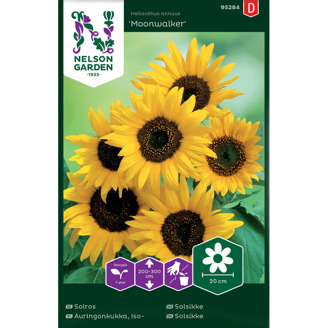 Hovedbilde Solsikke 'Moonwalker'