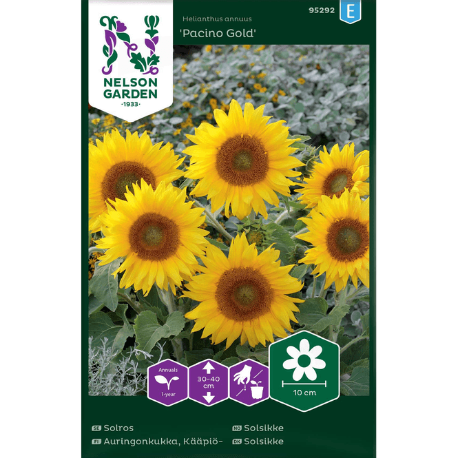 Hovedbilde Solsikke 'Pacino Gold' lav