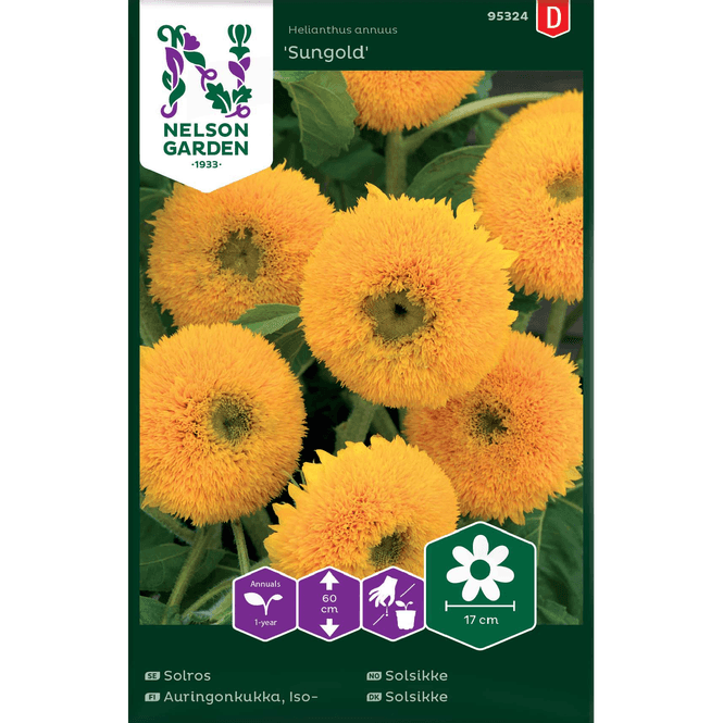 Hovedbilde Solsikke 'Sungold'