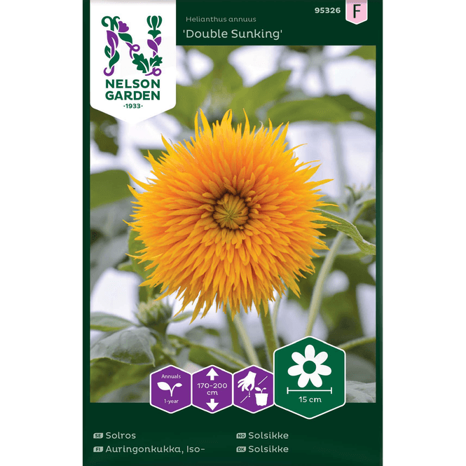 Hovedbilde Solsikke  'Double Sunking'