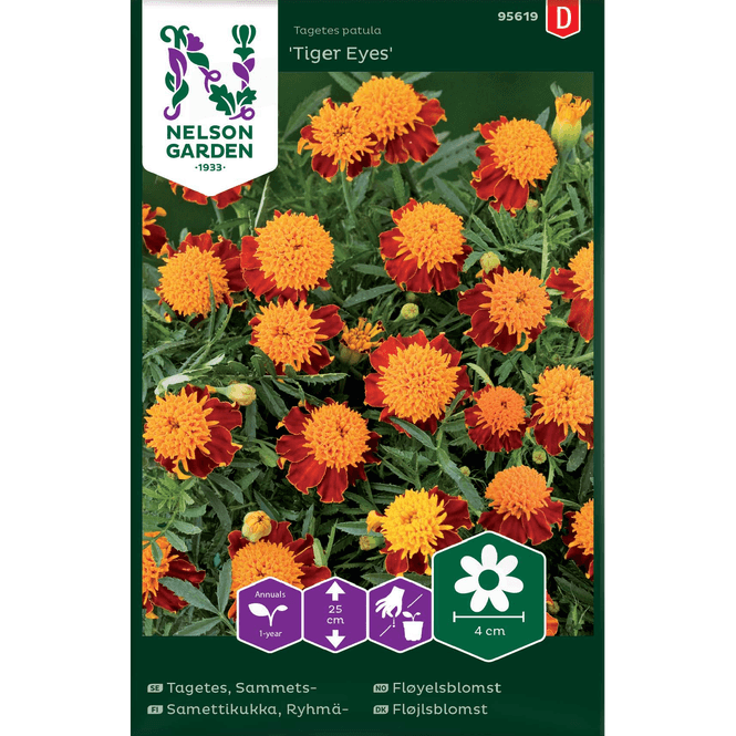 Hovedbilde Fløyelsblomst 'Tiger Eyes' lav