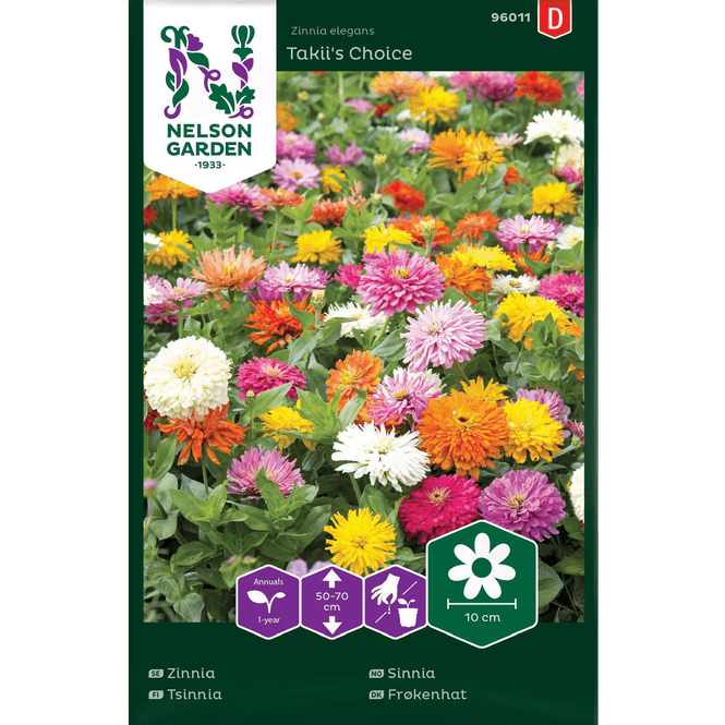 Hovedbilde Sinnia  'Takii´s Choice'