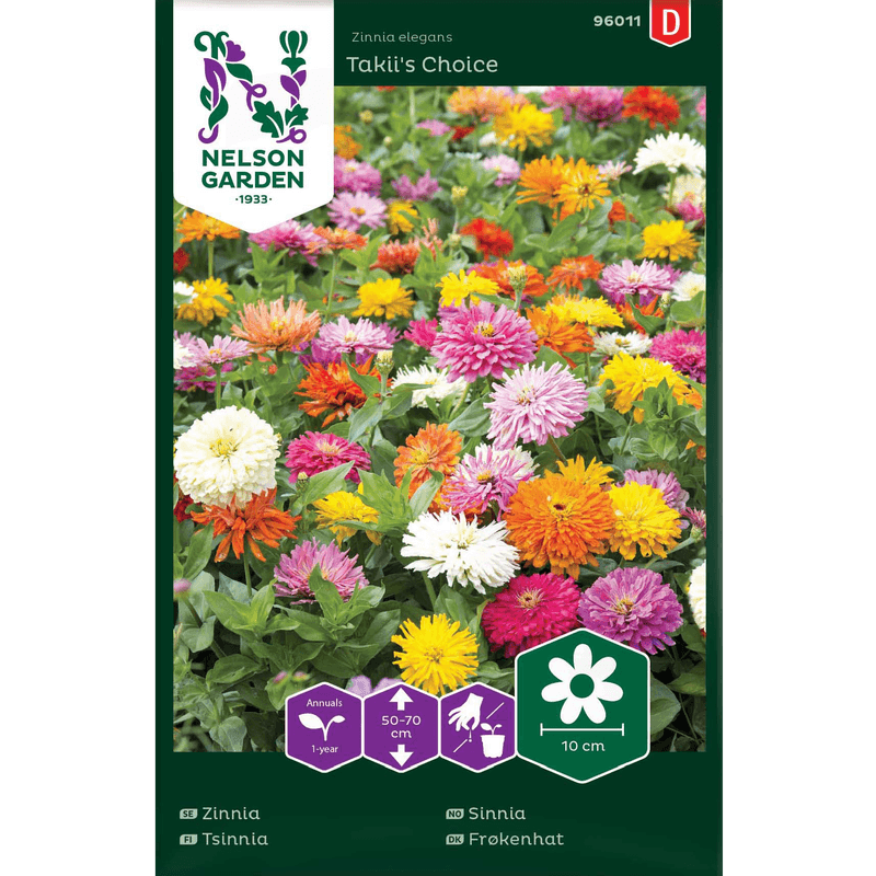 Sinnia  'Takii´s Choice'