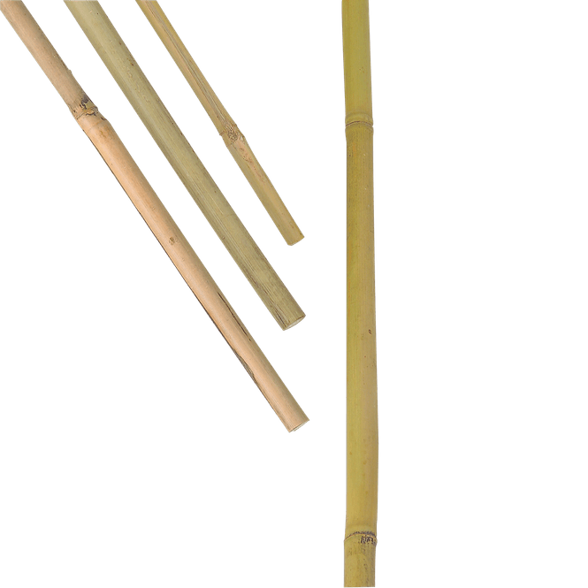 Hovedbilde Bambusstav, plantestøtte
