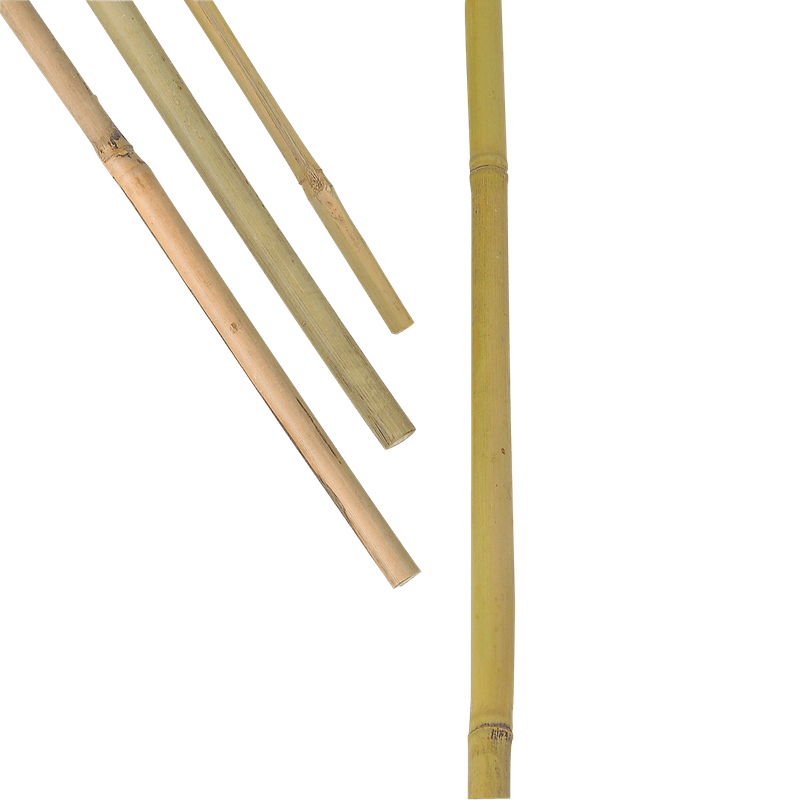 Bambusstav, plantestøtte